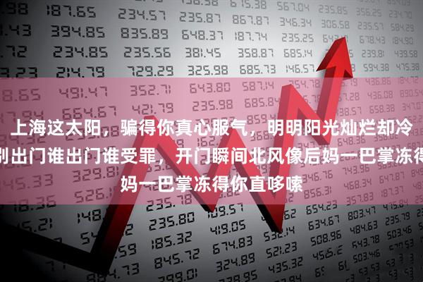 上海这太阳，骗得你真心服气，明明阳光灿烂却冷得要命，别出门谁出门谁受罪，开门瞬间北风像后妈一巴掌冻得你直哆嗦