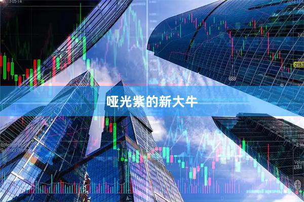 哑光紫的新大牛