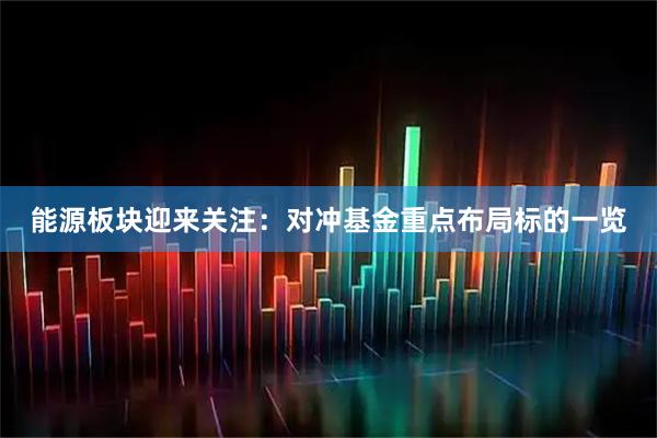 能源板块迎来关注：对冲基金重点布局标的一览